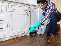 Best Pest Control for Multi-Family Homes  in East Petersburg, PA